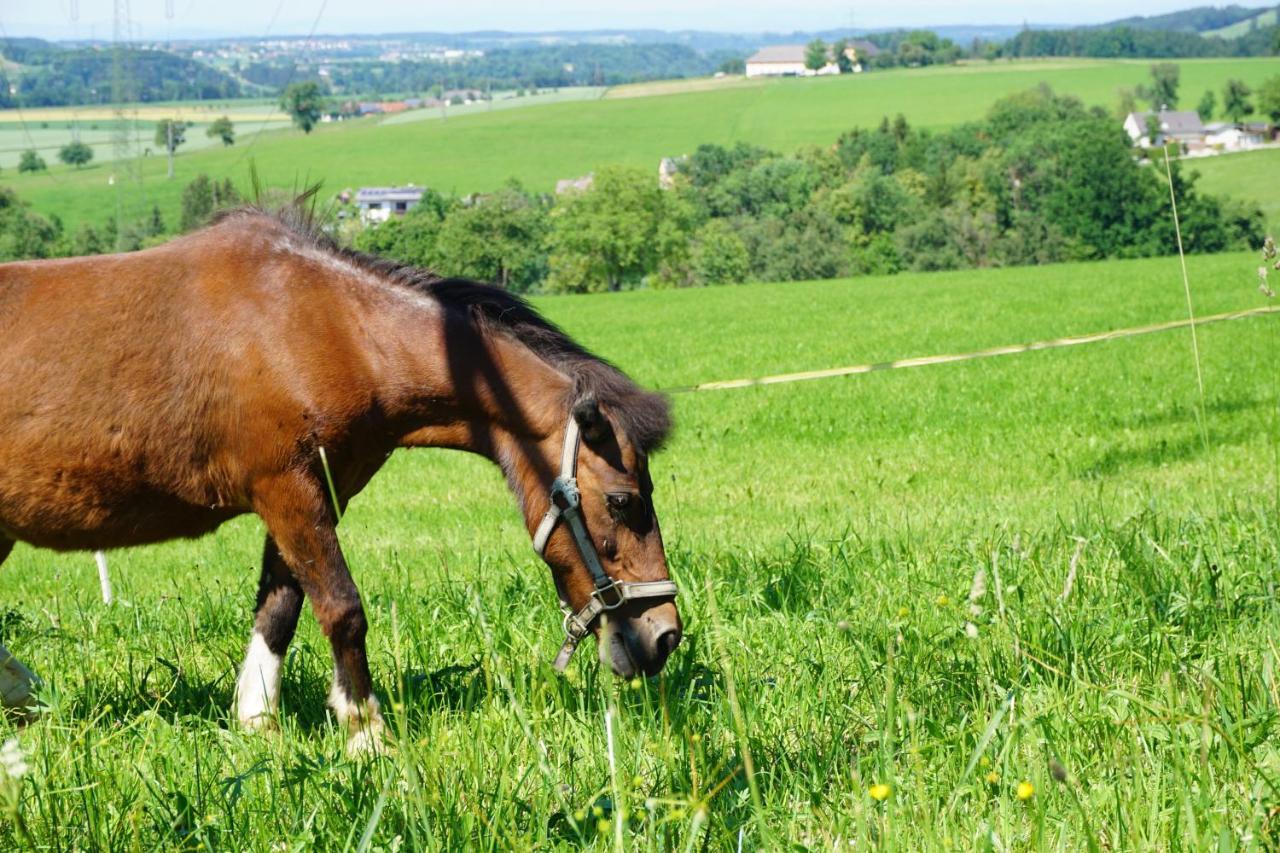 Kinderbauernhof Salmanner Steinbach an der Steyr Eksteriør billede
