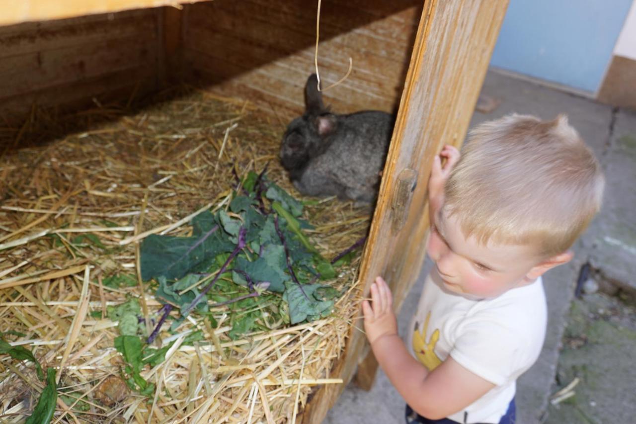 Kinderbauernhof Salmanner Steinbach an der Steyr Eksteriør billede