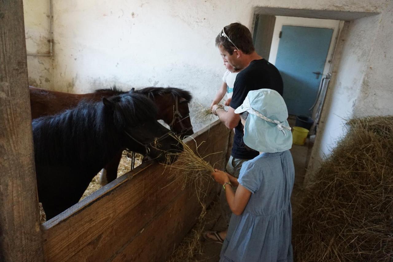 Kinderbauernhof Salmanner Steinbach an der Steyr Eksteriør billede
