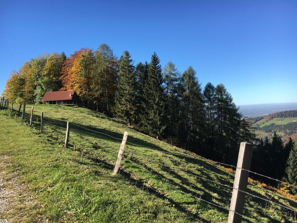 Kinderbauernhof Salmanner Steinbach an der Steyr Eksteriør billede